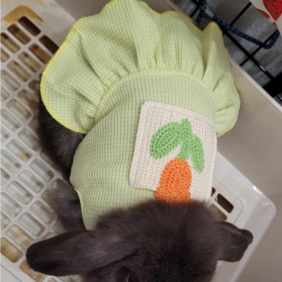 MARSHY's MANURE NATURAL GARDENING FERTILIZER - Picture 15 of 16